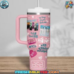 Backstreet Boys Stanley Tumbler Cup