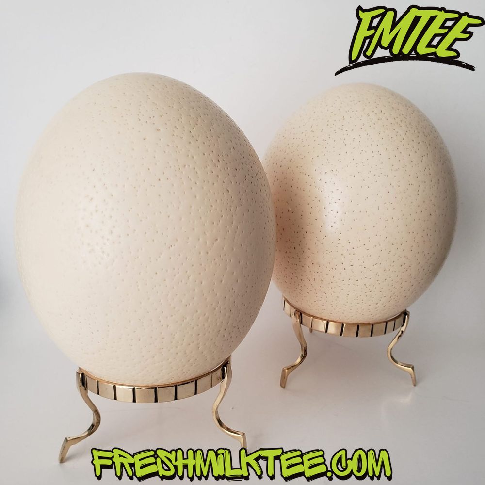 how much does an ostrich egg shell sell for